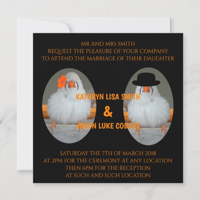 Zebra Finch mit Hochzeitsfeier Einladung (Vorderseite)