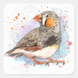 Zebra Finch Quadratischer Aufkleber