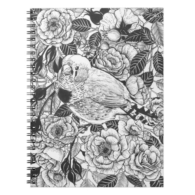 Zebra-Finch und Rose-Buschtinte zeichnend Notizblock (Vorderseite)