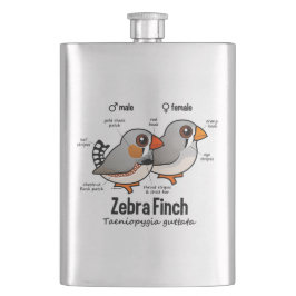 Zebra-Fink-Statistiken Flachmann