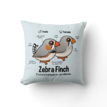 Zebra-Fink-Statistiken