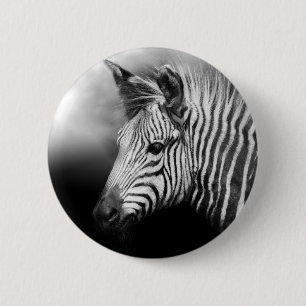 Zebra Foal Button