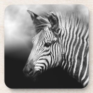Zebra Foal Getränkeuntersetzer