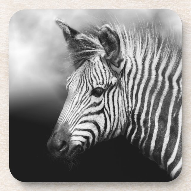 Zebra Foal Getränkeuntersetzer (Vorderseite)