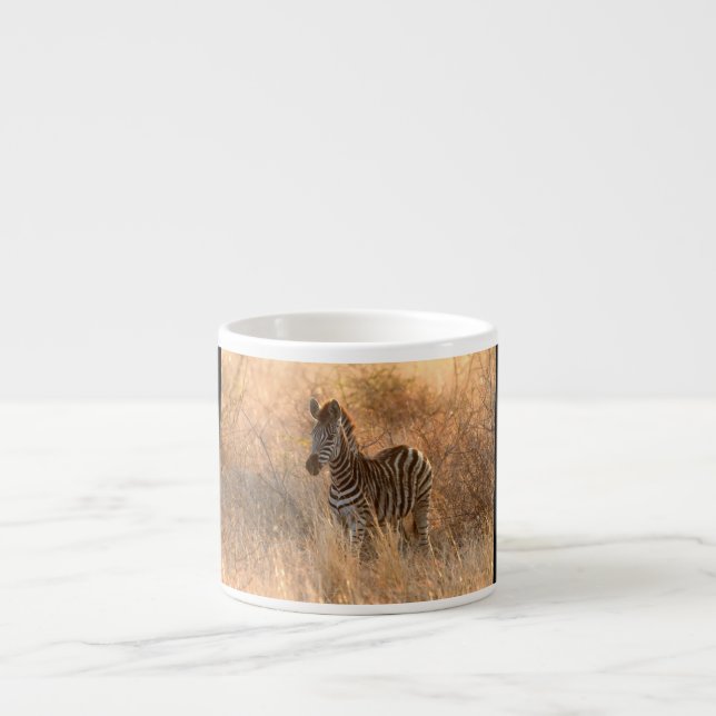 Zebra foal in Morgenlicht Espressotasse (Vorderseite)