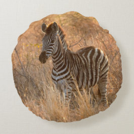 Zebra foal in Morgenlicht Rundes Kissen