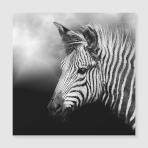 Zebra Foal Magnetkarte