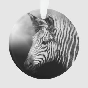 Zebra Foal Ornament