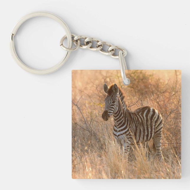 Zebra foto in Morgensonnenaufgang Foto Schlüsselanhänger (Vorderseite)