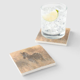 Zebra foto in Morgensonnenaufgang Foto Steinuntersetzer