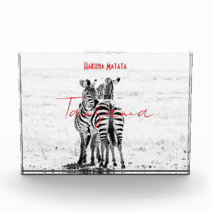 Zebra Fotoblock