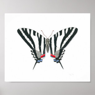 Zebra Frack Butterfly Kunstdrucken Poster