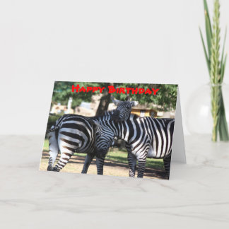 Zebra Friends Birthday Card Karte