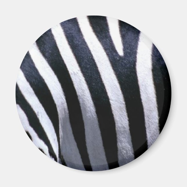 Zebra Fur Magnet (Vorne)