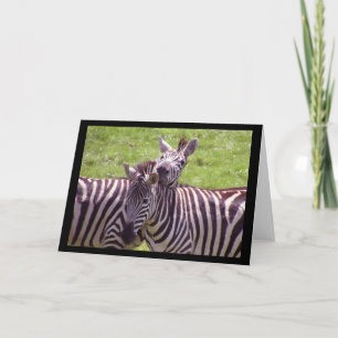 Zebra Grußkarte Karte