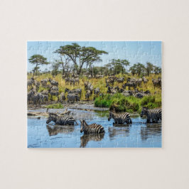 Zebra Herd im Wilden Jigsaw Puzzle