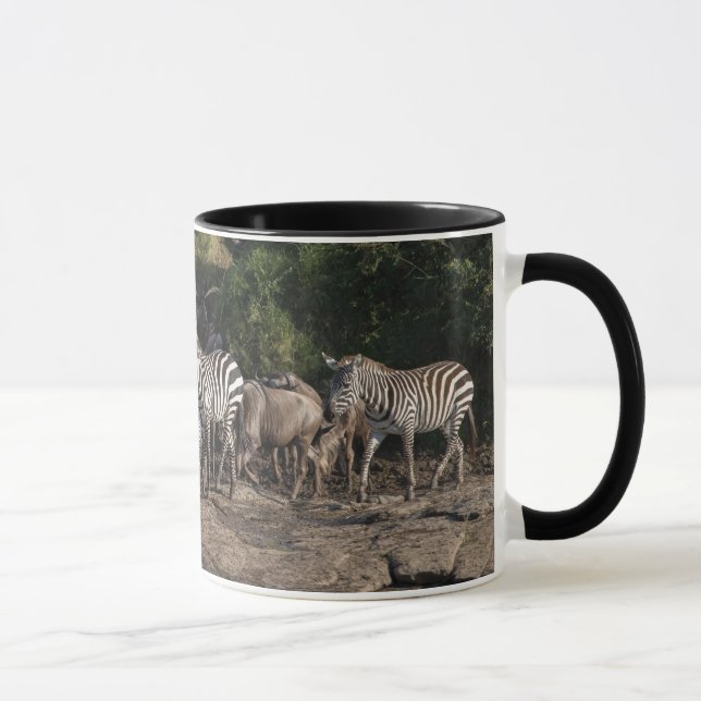 Zebra Herd in Natural Setting Black Interior Gift Tasse (Rechts)