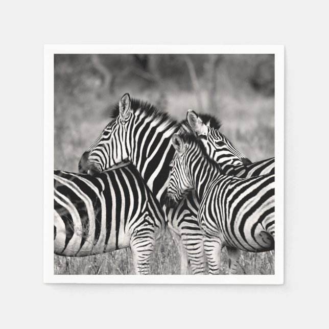 Zebra Herd Nature Safari Schwarz-Weiß Streifen Serviette (Vorderseite)