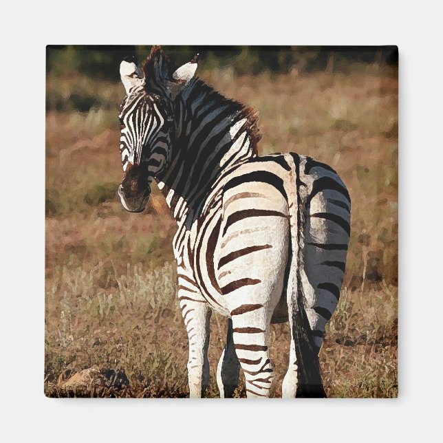 Zebra hinter Magnet (Vorne)