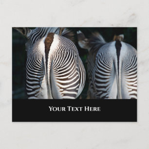 Zebra Hinterns Funny Wildlife Postkarte