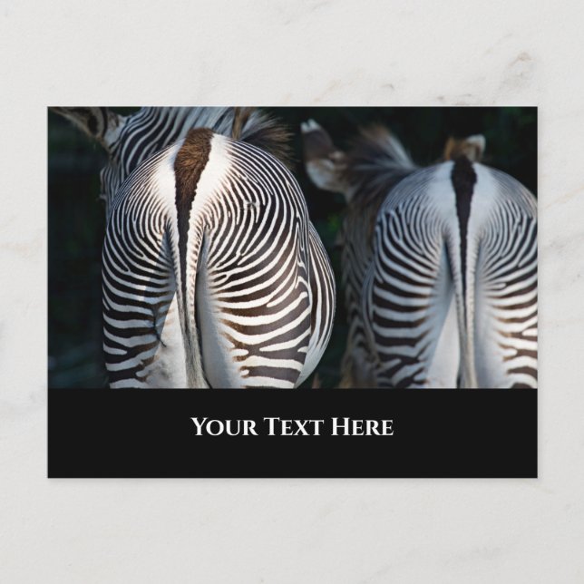 Zebra Hinterns Funny Wildlife Postkarte (Vorderseite)