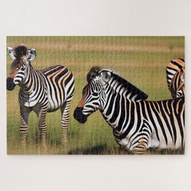 Zebra im Gras Puzzle (Horizontal)
