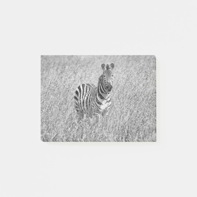 Zebra in hohem Gras Post-it Klebezettel (Vorderseite)