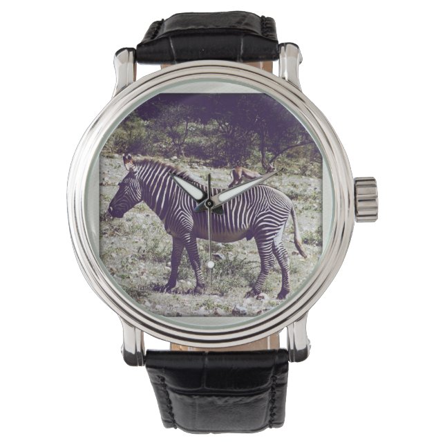 Zebra in Kenia Armbanduhr (Vorderseite)