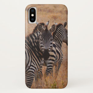 Zebra in Kenia Case-Mate iPhone Hülle