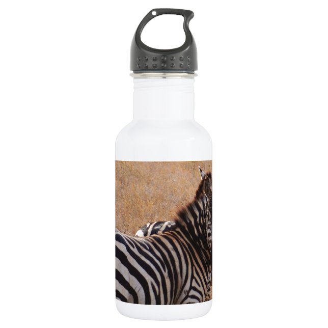 Zebra in Kenia Edelstahlflasche (Vorderseite)