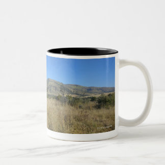 Zebra in offenem schlichtem, Pilansberg Zweifarbige Tasse