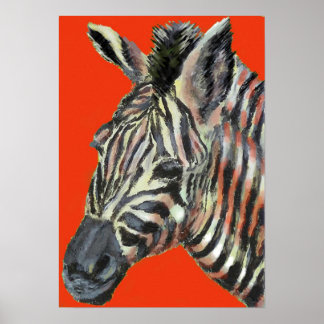 Zebra in rotem Poster