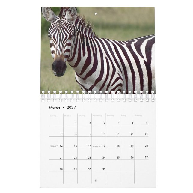 Zebra Kalender (Mär 2027)