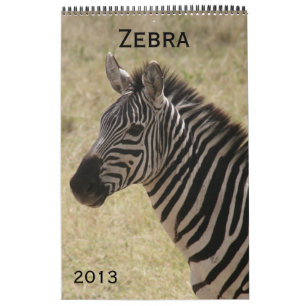 Zebra-Kalender 2013 Kalender