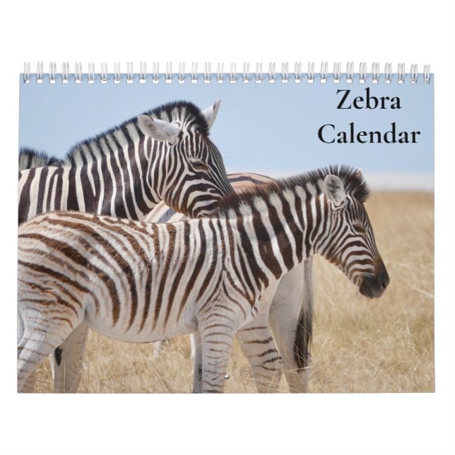 Zebra-Kalender 2027 Kalender (Titelbild)