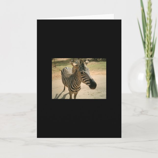 Zebra Karte (Vorderseite)