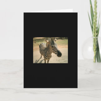 Zebra Karte