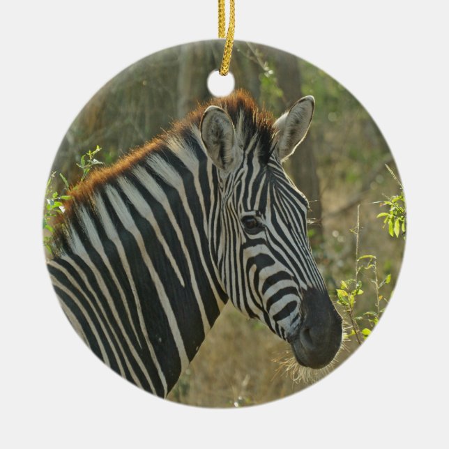 Zebra Keramik Ornament (Vorne)
