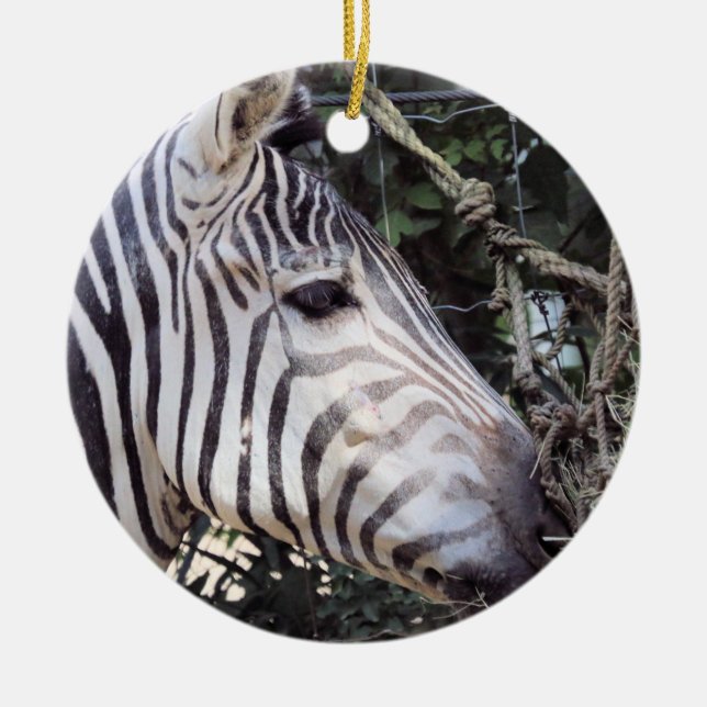 Zebra Keramik Ornament (Vorne)