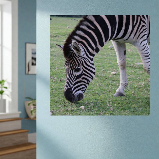 Zebra Kopf Schwarz-Weiß Streifen Foto Poster (On Wall)