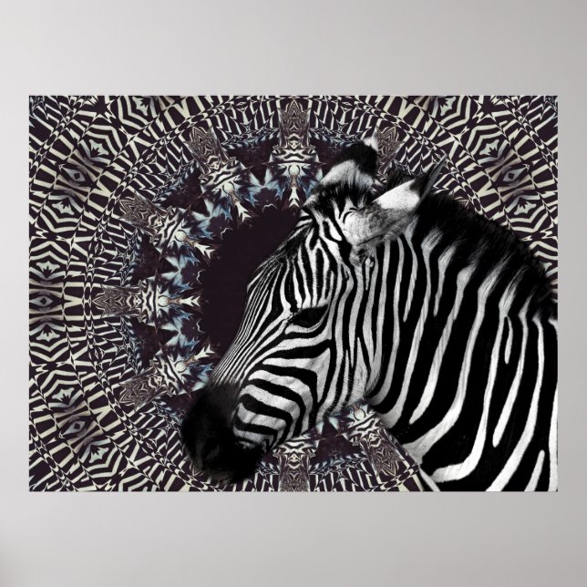 Zebra-Kunst-Plakat Poster (Vorne)