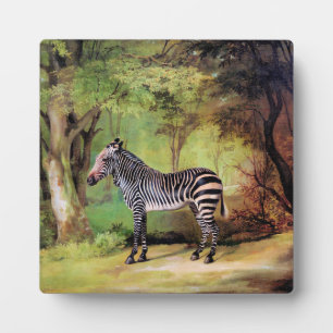 Zebra, Kunstwerk von George Stubbs, Fotoplatte
