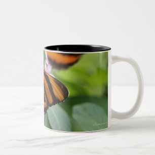 Zebra-langer Flügel-Schmetterling 2 Zweifarbige Tasse