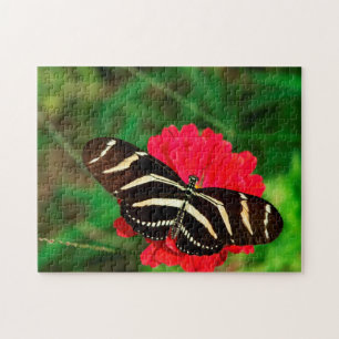 Zebra-Langflügel-Schmetterling. Puzzle