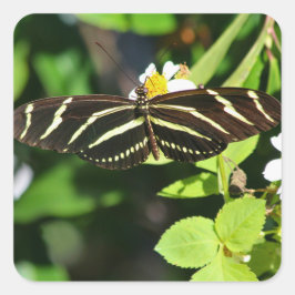 Zebra-Langflügel-Schmetterling Quadratischer Aufkleber