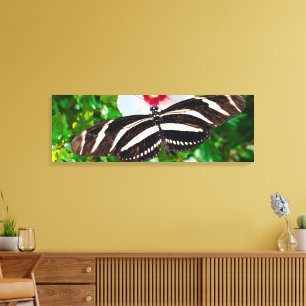 Zebra-Langschmetterling auf einem Hibiskus Rotes H Leinwanddruck