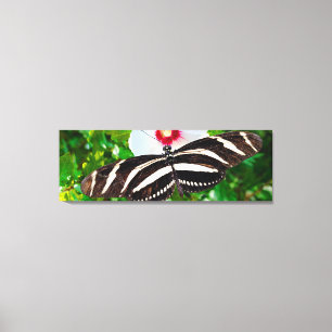 Zebra-Langschmetterling auf einem Hibiskus Rotes H Leinwanddruck