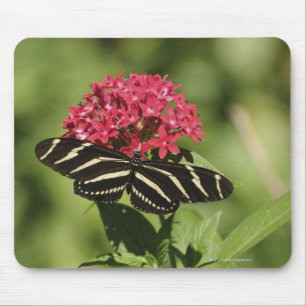 Zebra-Langschmetterling, Heliconius Mousepad