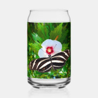 Zebra-Langschwanz-Schmetterling auf einem Hibiskus