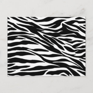 Zebra; Leer Postkarte